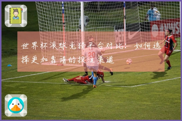 世界杯滚球竞猜平台对比：如何选择更加靠谱的投注渠道