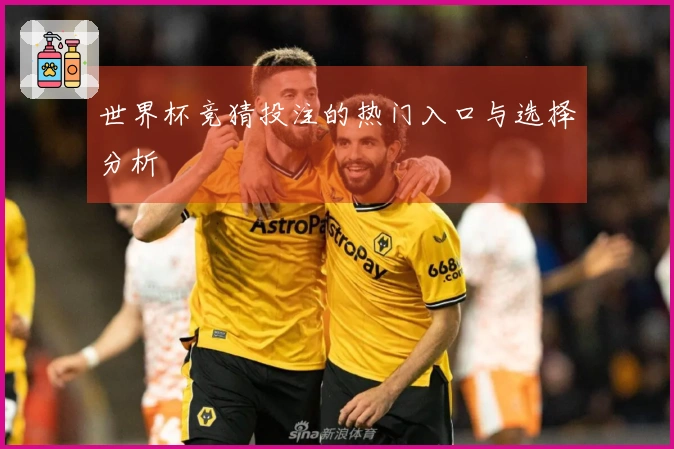 世界杯竞猜投注的热门入口与选择分析